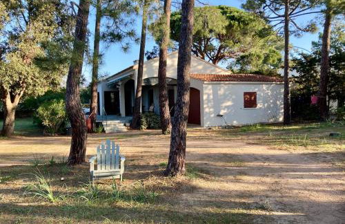 Villa de bord de plage - Foto 27