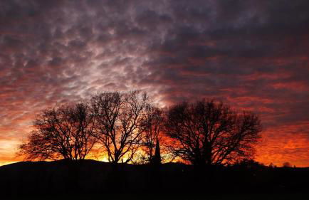 Agriturismo Il Sasso - Foto 40