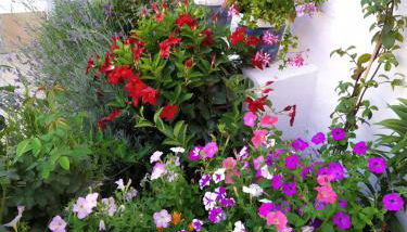 Casa Eufemia - Campo de Criptana - Foto 4, Garden