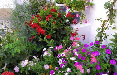 Casa Eufemia - Campo de Criptana - Foto 4