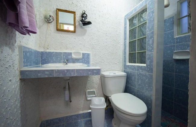 Holiday rental in Viñales with garden and terrace - Photo 12