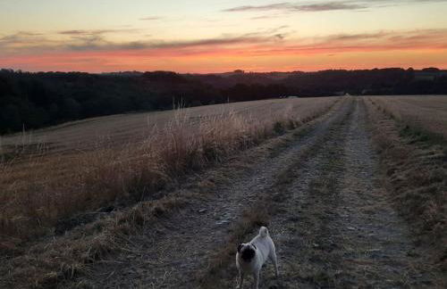 Wellness in the Naafbachtal - Foto 26