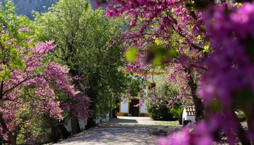 Casa Rural El Ayozar - Foto 2, Garden view