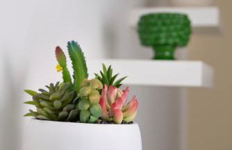 Casa fronte mare a San Saba - Foto 23