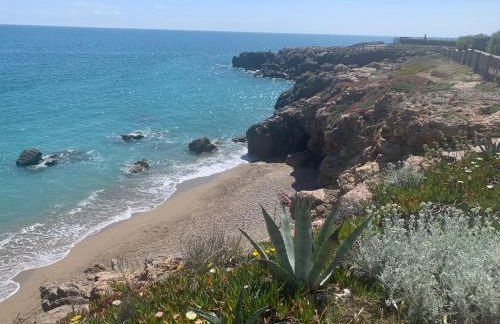 le lodge Saint Clair - Foto 46