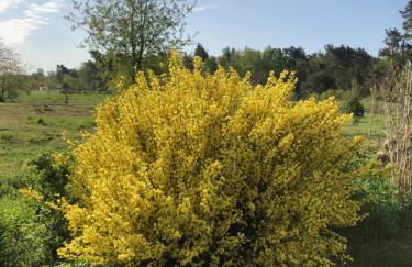 SandKorn 1 und 2 - Foto 13