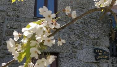 Casa das Cerejeiras - Foto 3, Other