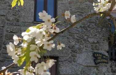 Casa das Cerejeiras - Foto 3