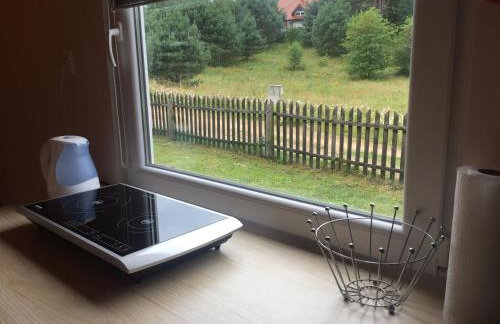 Domek Leśne Zacisze - Foto 16