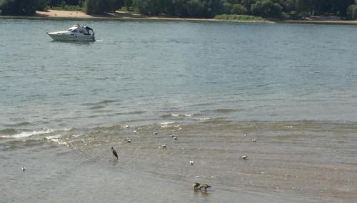 Apartment Köln Ensen - Foto 4