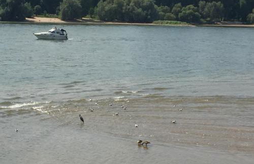 Apartment Köln Ensen - Foto 4