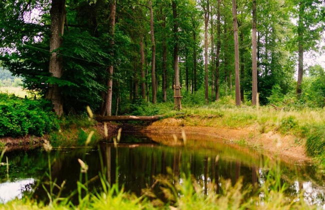 Modern Holiday Home with Hot Tub & Sauna in Ardennes - Photo 32