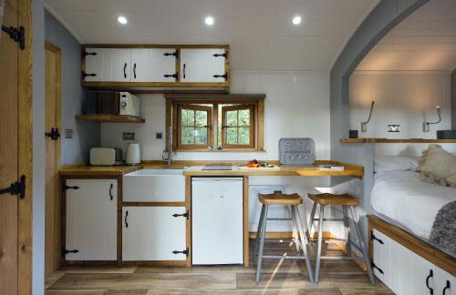 Cwtch Ffynnone Luxury Shepherds Hut - Foto 3