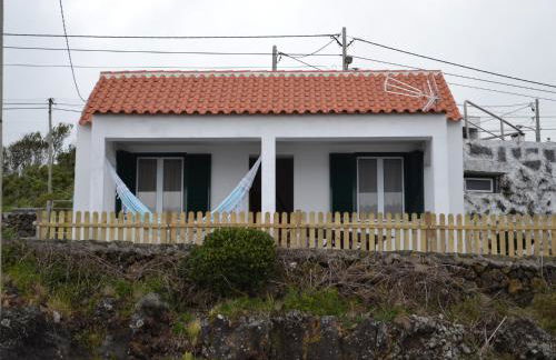 Casinha de Muda da Feteira - Photo 33