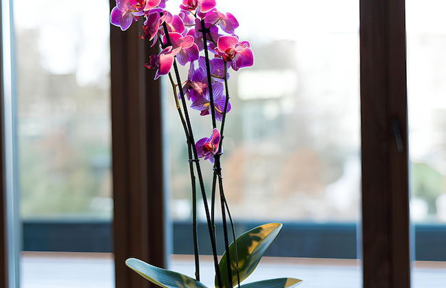 Duplex Penthouse with Breathtaking Views - Foto 17