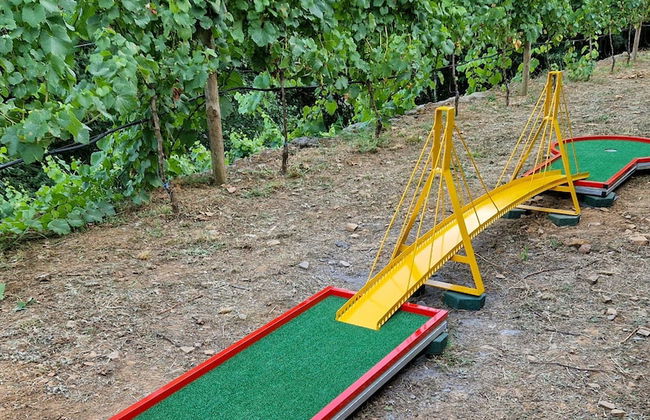 Moinhos do Paiva - Foto 1