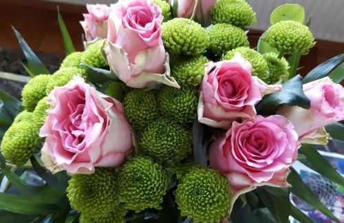 Villa Maja - Foto 26