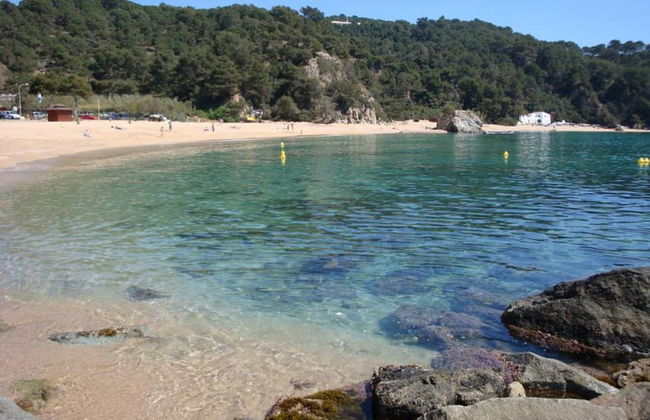 107519 - Studio in Lloret de Mar - Foto 14