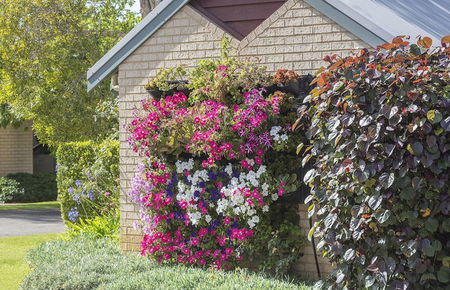 Bayshore Beachside Resort - Foto 61