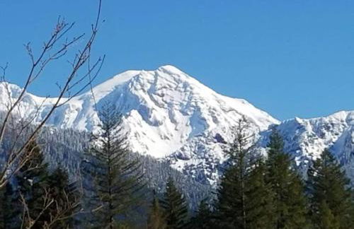Mt Rainier Little Green Cabin On Big Creek! - Foto 19