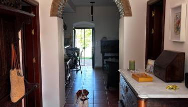 Casa el Pedroso - Villa Limones - Foto 4