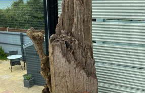 The Lookout - Foto 42