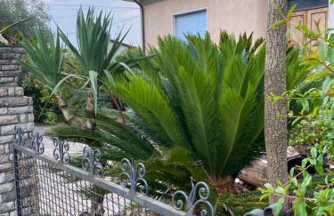 Il giardino delle Cycas - Foto 16
