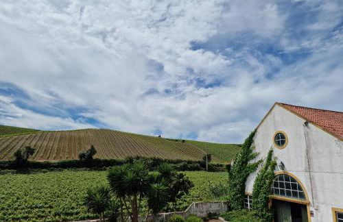 Casa Nikana - Photo 2