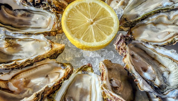 Montpellier Wine + Oyster Tasting Tour