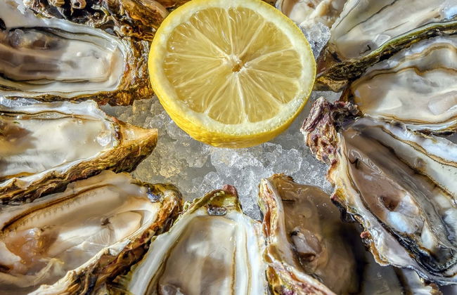 Tour de vinhos e ostras - Foto 5