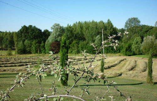 Pèque-Lèbre - Foto 12