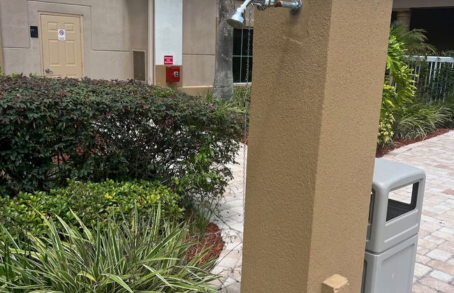 Free Shuttle 2 Queen Disney Area - Foto 56