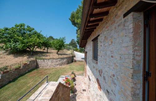 Tulipano - Agriturismo Fogliani - Foto 15