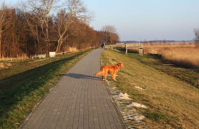 Beachkeeper Comfortable Holiday Residence - Foto 11