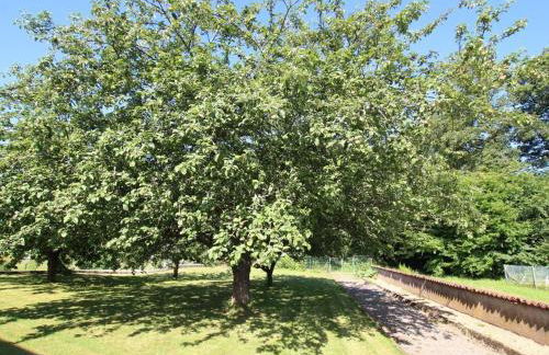Charmant pavillon au calme, idéal pour famille ou amis près des Vosges - FR-1-583-421 - Foto 19