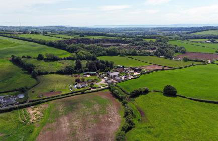 Argoed Barn and Vineyard - Foto 21