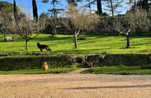 Agriturismo La Corte del Sole - Foto 63