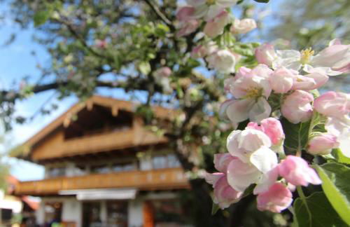 Appartementhaus Schirsner - direkt am See & am Kurpark - Foto 1