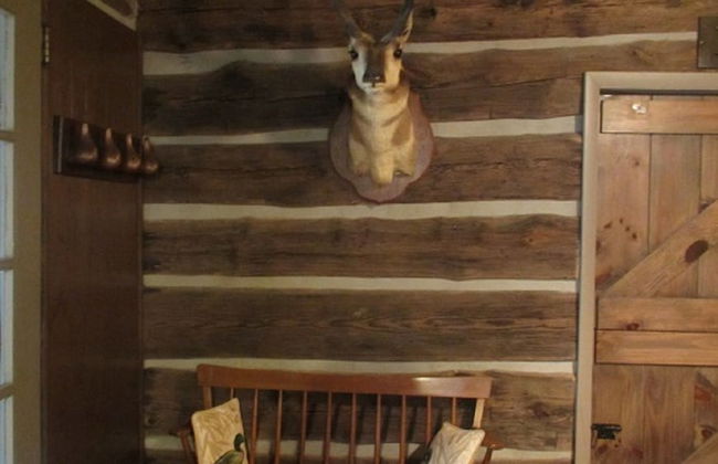 Lake Santeetlah Log Cabin - Foto 13