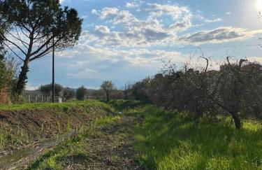 Country house in Maremma Villa Mafalda - Foto 30