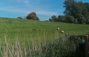 Lütte Hütte - Foto 24