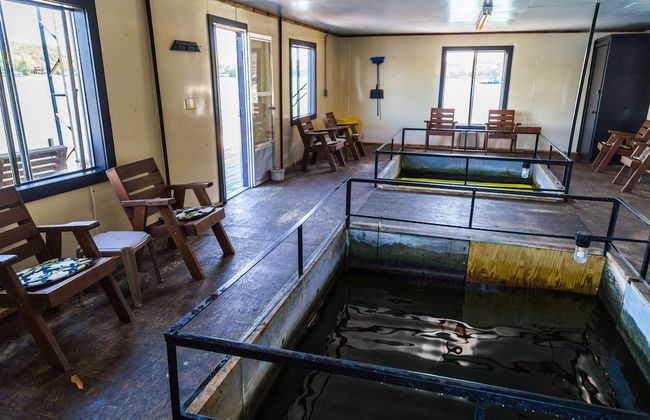 Point View Resort - Foto 70