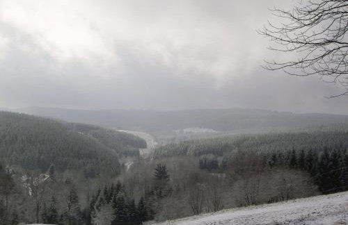 Ferienwohnung im Harz-Haus-Bruns - Foto 43