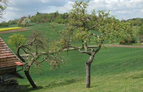 Ferienwohnung Bockelt - Foto 31