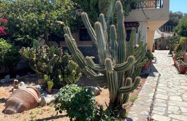 KONSTANTINA'S HOUSE - Photo 17