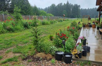 Agrosturystyka Leśna 21 - Foto 37