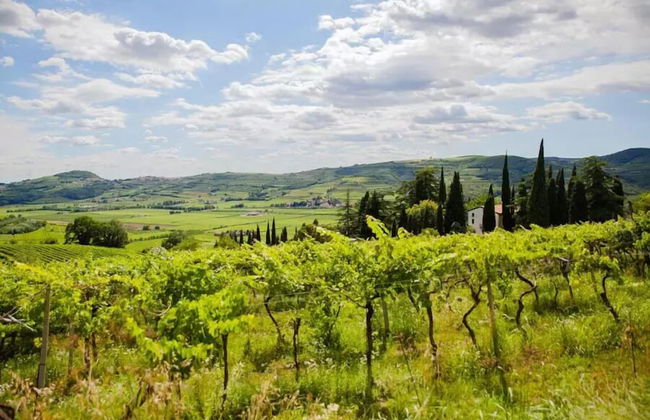 Corte Massimago - Foto 32