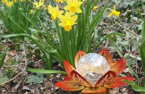 Ferienwohnung in Durbach- Urlaub am Weinberg - Foto 22