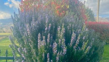 Casa Di Sylvia-enjoy tranquility and amazing views - Foto 3