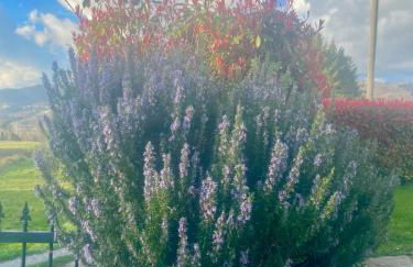 Casa Di Sylvia-enjoy tranquility and amazing views - Foto 3